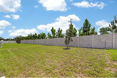 16547 Mosaic Oar Drive, Wimauma, FL 33598 - Photo 71