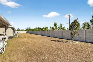 16547 Mosaic Oar Dr, Wimauma, FL 33598 - Photo 43