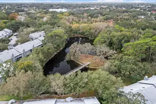 11859 Skylake Pl, Temple Terrace, FL 33617 - Photo 47