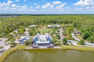 16712 Courtyard Loop, Land O Lakes, FL 34638 - Photo 71