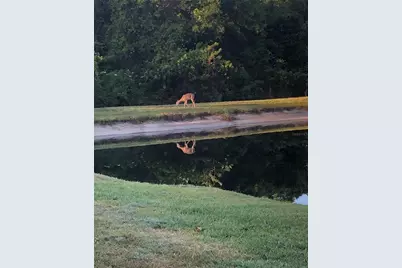 748 Winslow Park, Tarpon Springs, FL 34688 - Photo 41