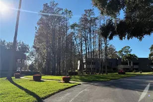 36750 US Hwy 19 N, Palm Harbor, FL 34684 - Photo 33