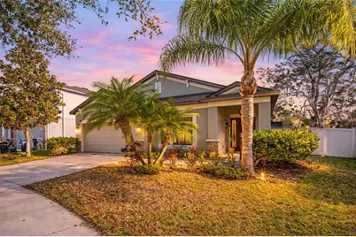 11652 Palmetto Pine Street, Riverview, FL 33569 - Photo 1