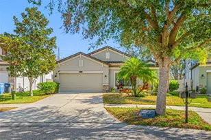 11652 Palmetto Pine St, Riverview, FL 33569 - Photo 5