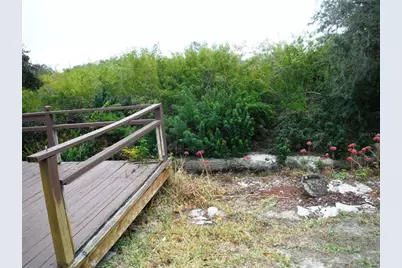 90 Sugar Bear Drive #53, Safety Harbor, FL 34695 - Photo 29