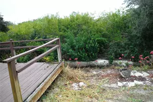 90 Sugar Bear Dr, Safety Harbor, FL 34695 - Photo 29