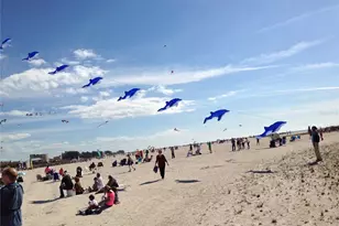 11315 3rd St E, Treasure Island, FL 33706 - Photo 43