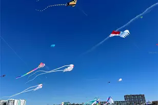 11315 3rd St E, Treasure Island, FL 33706 - Photo 45