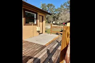 13216 Curley Rd, Dade City, FL 33525 - Photo 9