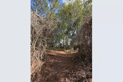Tbd SE 190th Avenue, Silver Springs, FL 34488 - Photo 5