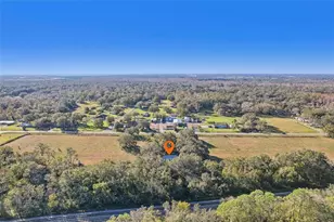 00 Cr-542, Lakeland, FL 33801 - Photo 7
