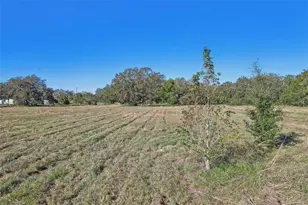 00 Cr-542, Lakeland, FL 33801 - Photo 3