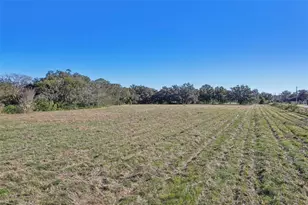 00 Cr-542, Lakeland, FL 33801 - Photo 5