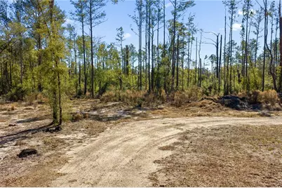 12th Terrace, Live Oak, FL 32060 - Photo 63