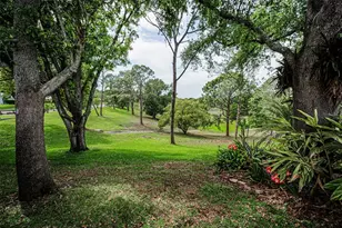 1700 Macdonnell Dr, Palm Harbor, FL 34684 - Photo 55