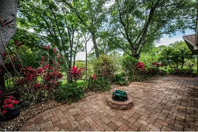 1700 Macdonnell Drive, Palm Harbor, FL 34684 - Photo 49