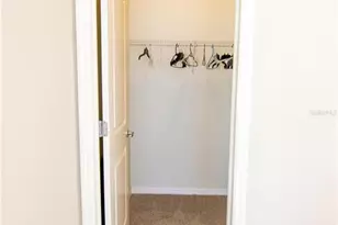 8000 Olive Brook Dr, Wesley Chapel, FL 33545 - Photo 29