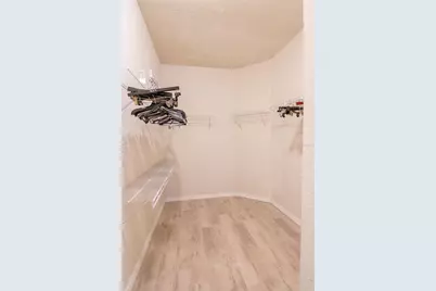 8000 Olive Brook Drive, Wesley Chapel, FL 33545 - Photo 23