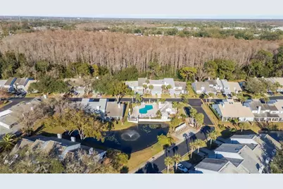 4138 Brentwood Park Circle, Tampa, FL 33624 - Photo 3