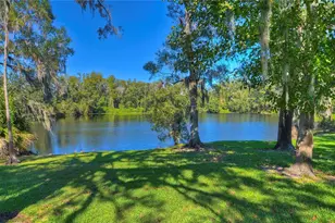 11321 Wickersley Pl, Tampa, FL 33625 - Photo 63