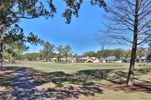 880 MacLaren Dr N, Palm Harbor, FL 34684 - Photo 37