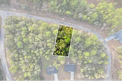 10887 N Ocean Drive, Citrus Springs, FL 34434 - Photo 3