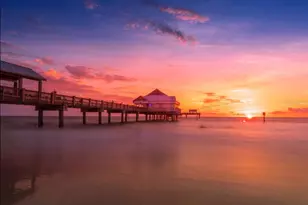 1505 Laura St, Clearwater, FL 33755 - Photo 63