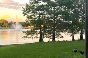 1505 Laura St, Clearwater, FL 33755 - Photo 83