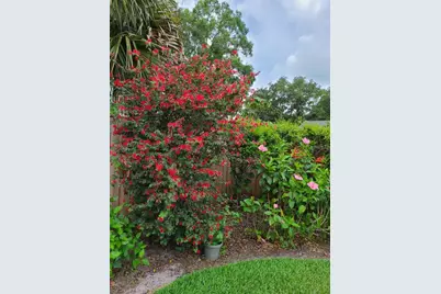 14908 Palmcrest Place, Tampa, FL 33625 - Photo 37