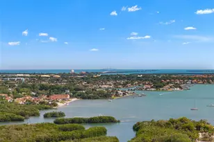 2612 46th St S, Gulfport, FL 33711 - Photo 47