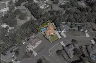 3926 Meadowlark Ct, Land O Lakes, FL 34639 - Photo 3