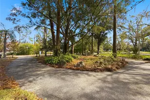 18324 Jorene Rd, Odessa, FL 33556 - Photo 75