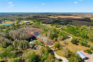 18324 Jorene Rd, Odessa, FL 33556 - Photo 73