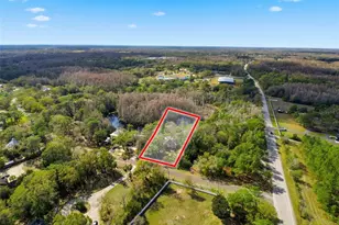 18324 Jorene Rd, Odessa, FL 33556 - Photo 67