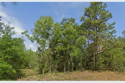 6502 N Matheson Drive, Citrus Springs, FL 34434 - Photo 3