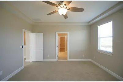 34480 Wynthorne Place, Wesley Chapel, FL 33545 - Photo 35