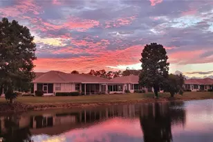 834 Tremont Greens Ln, Sun City Center, FL 33573 - Photo 21