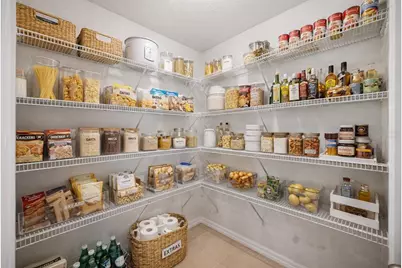 32756 Ansley Bloom Lane, Wesley Chapel, FL 33543 - Photo 9