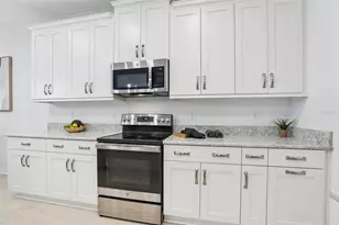 31766 Asbury Ave, Wesley Chapel, FL 33545 - Photo 13