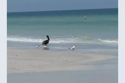 1430 Gulf Boulevard #204, Clearwater Beach, FL 33767 - Photo 41