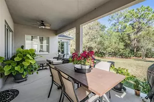 8506 Eagle Brook Dr, Land O Lakes, FL 34638 - Photo 39