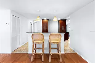 2926 W Tyson Ave, Tampa, FL 33611 - Photo 3