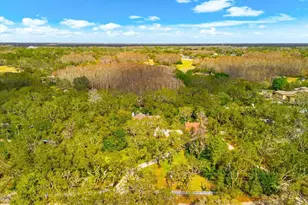 653 Old East Lake Rd, Tarpon Springs, FL 34688 - Photo 61