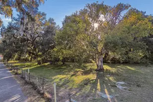 5101 Cr 316A, Bushnell, FL 33513 - Photo 51