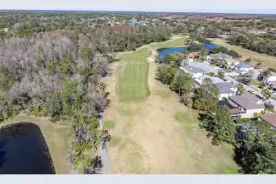 12511 Royal Dublin Avenue, Odessa, FL 33556 - Photo 39