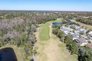 12511 Royal Dublin Ave, Odessa, FL 33556 - Photo 39