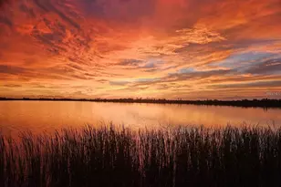 3215 Gulf City Rd, Ruskin, FL 33570 - Photo 95