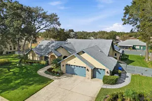 3612 Sugar Loaf Ln, Valrico, FL 33596 - Photo 53