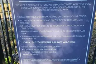 10488 St Tropez Pl, Tampa, FL 33615 - Photo 43