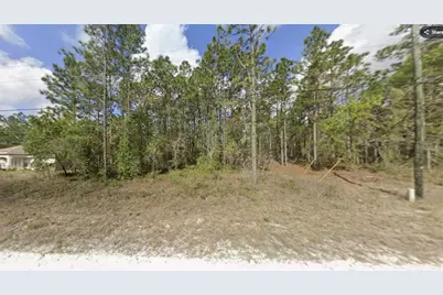 15493 Penn State Road, Weeki Wachee, FL 34614 - Photo 1